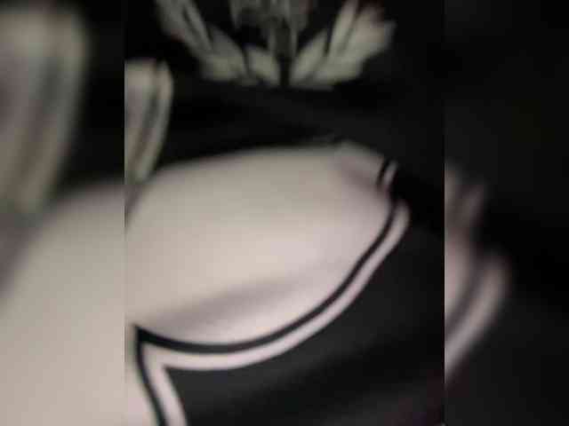 MENNDI webcam