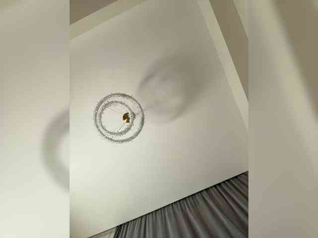 MENNDI webcam