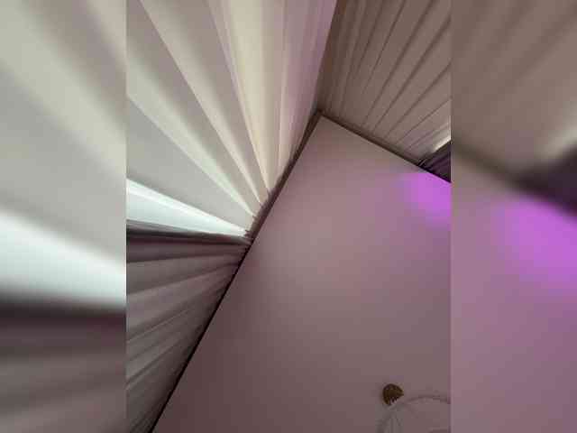 MENNDI webcam