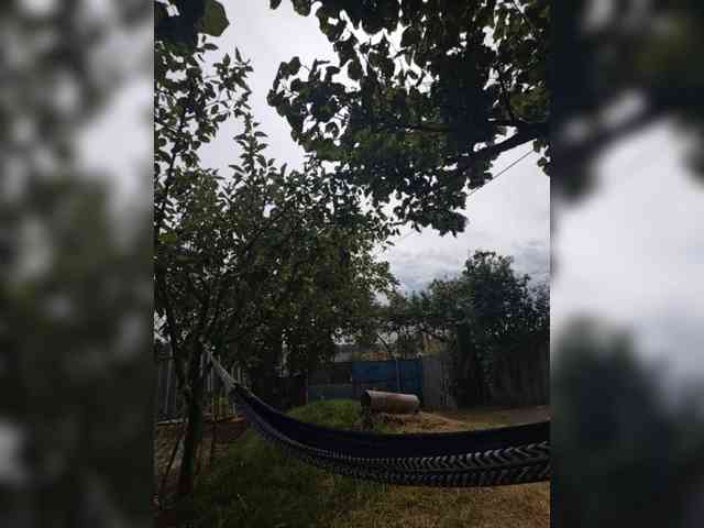 MazySun webcam