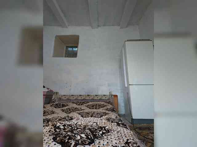 MazySun webcam