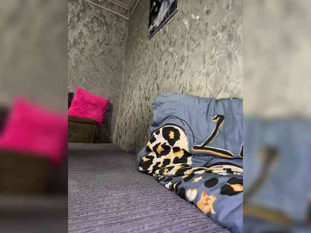 Nata17-1 webcam