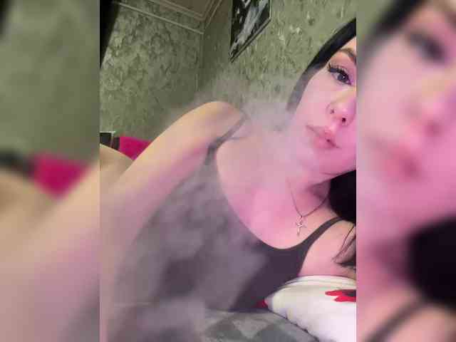 Nata17-1 webcam