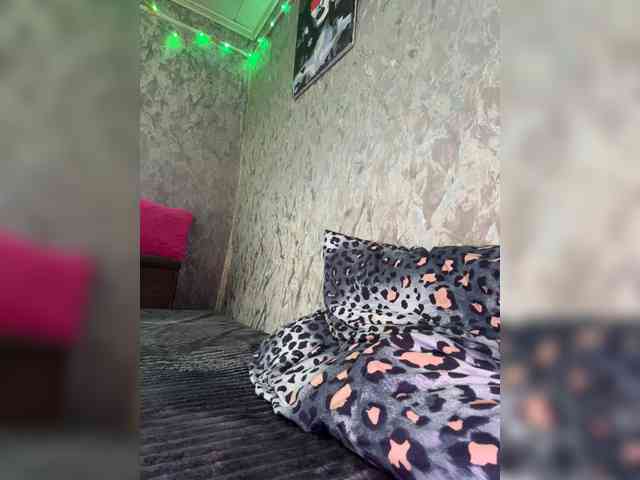 Nata17-1 webcam