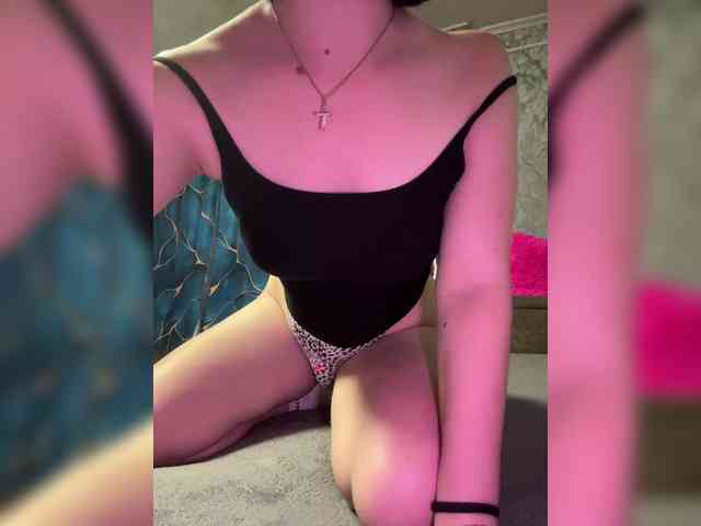 Nata17-1 webcam