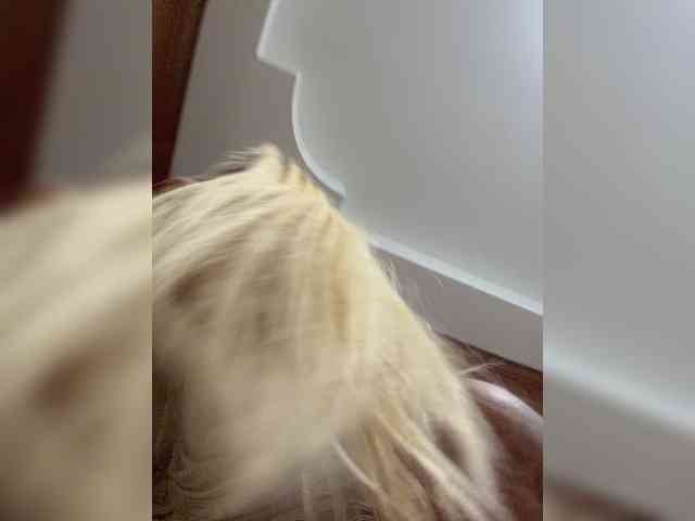 Модель: Tvoyasamka77