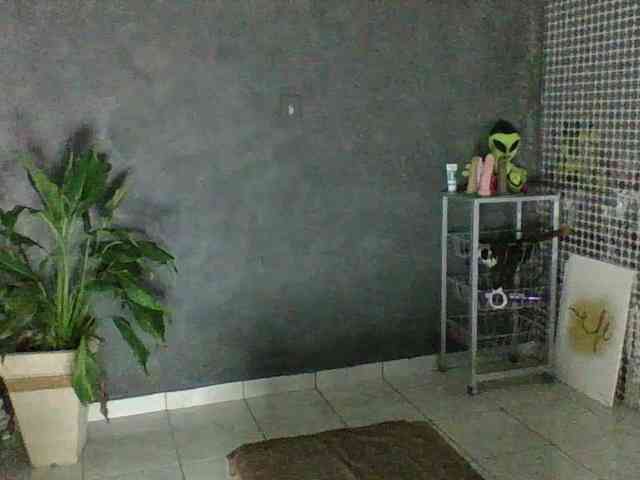 Anjinhas webcam