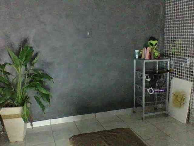 Anjinhas webcam