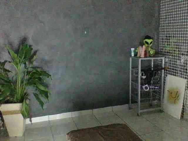 Anjinhas webcam