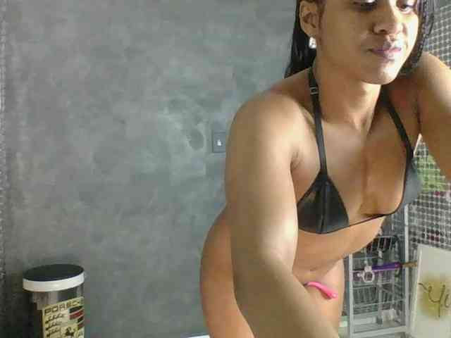 Modelo: Anjinhas