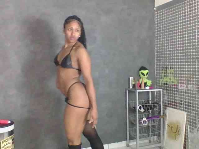 Modelo: Anjinhas