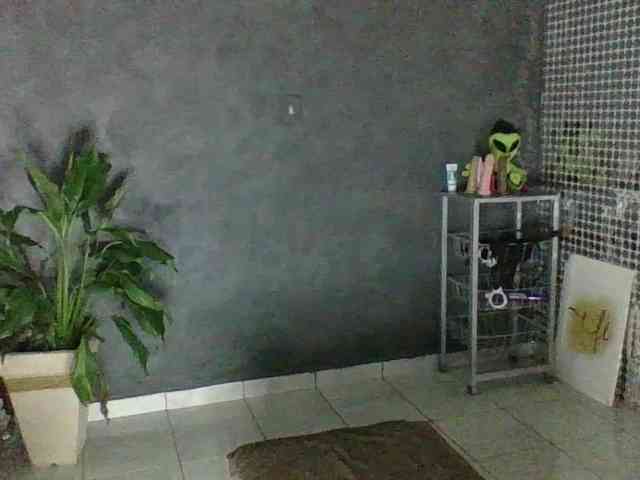 Anjinhas webcam