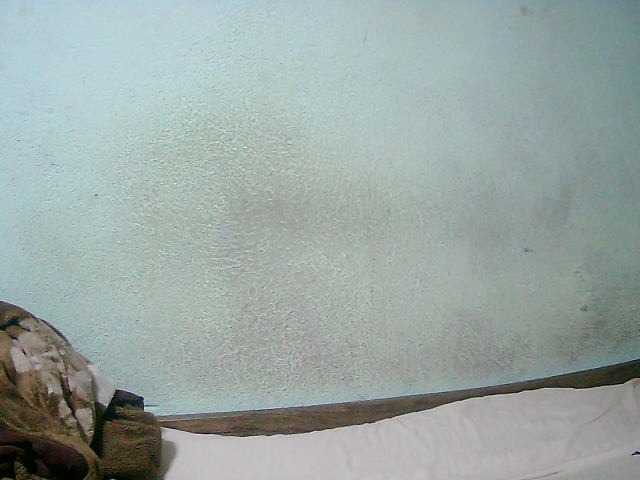 Cathie69