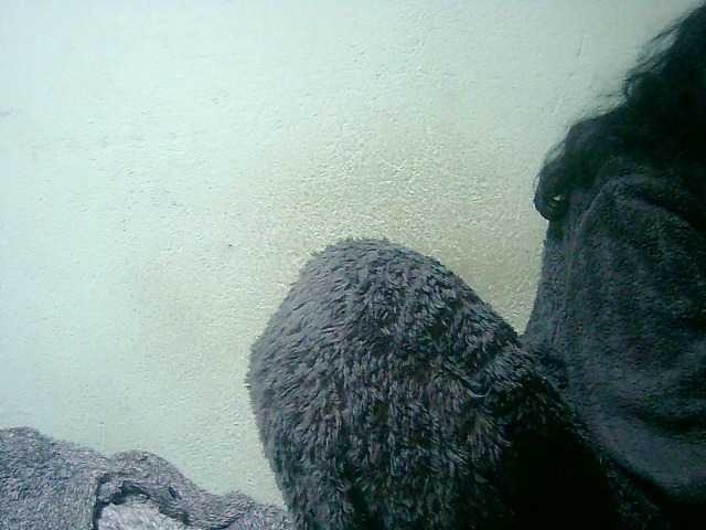 Cathie69