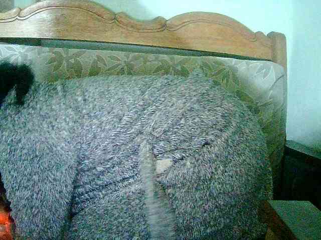 Cathie69