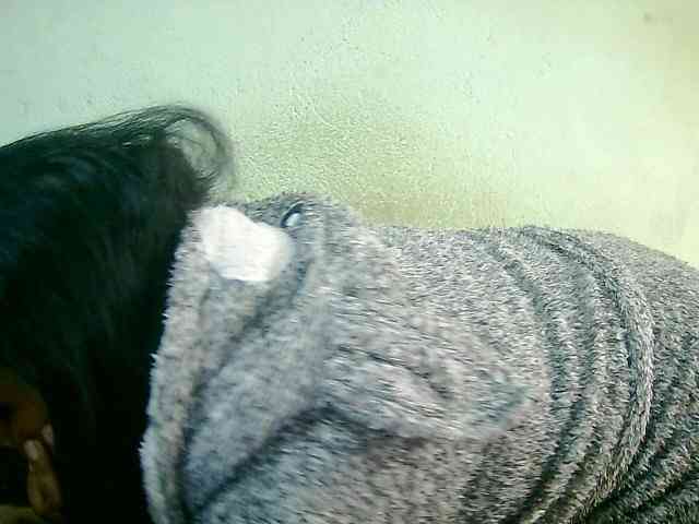 Cathie69 webcam