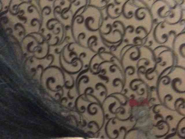 your_other_half webcam