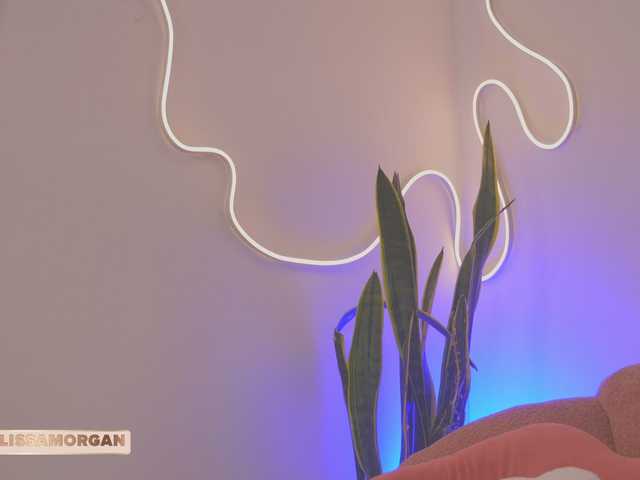 LissaMorgann live cam on BongaCams