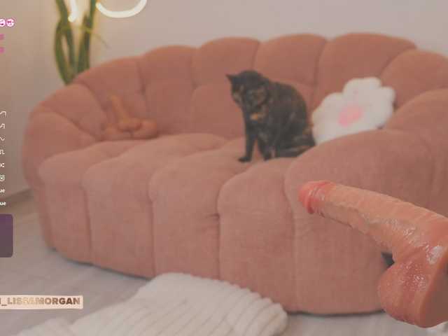 LissaMorgann live cam on BongaCams