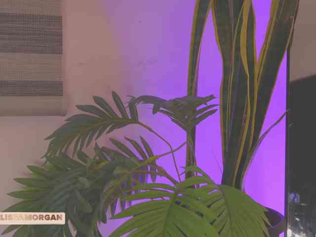 LissaMorgan webcam