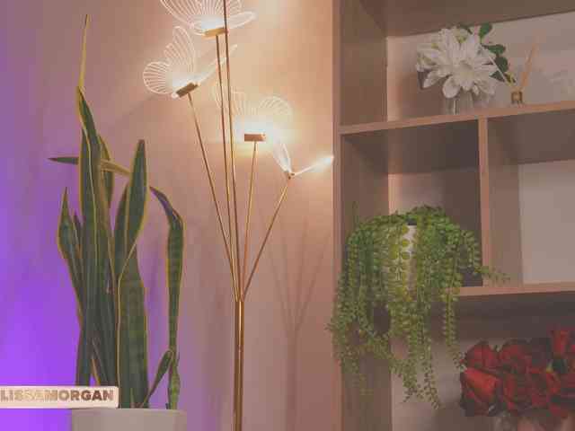 LissaMorgan webcam