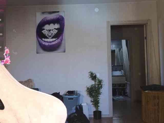 mali- webcam