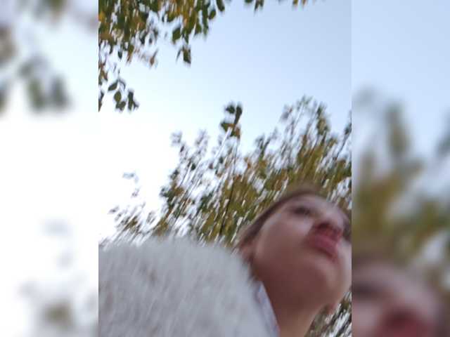 alizii