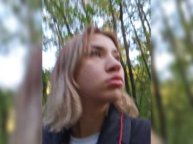 alizii