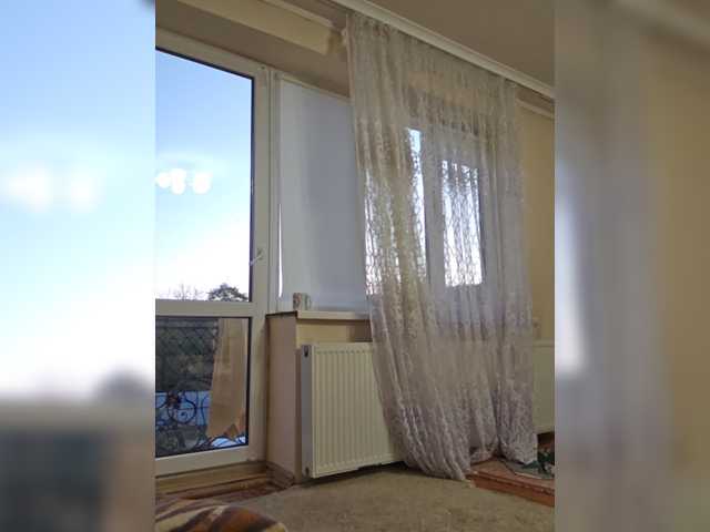 alizii