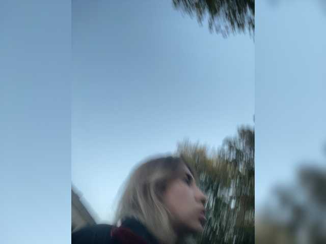alizii