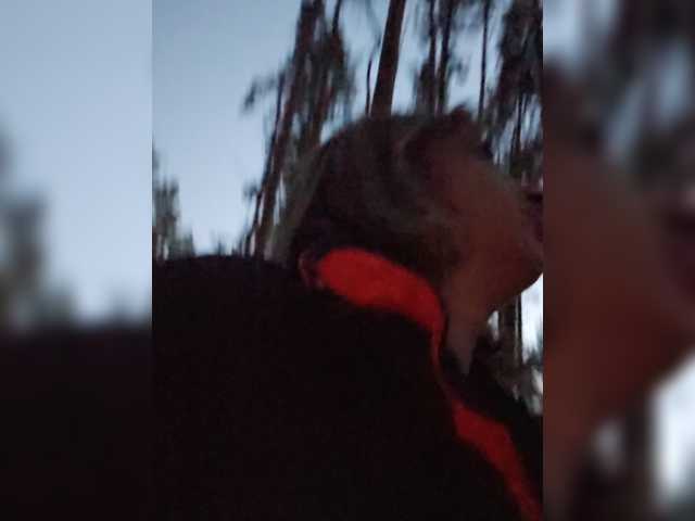 alizii