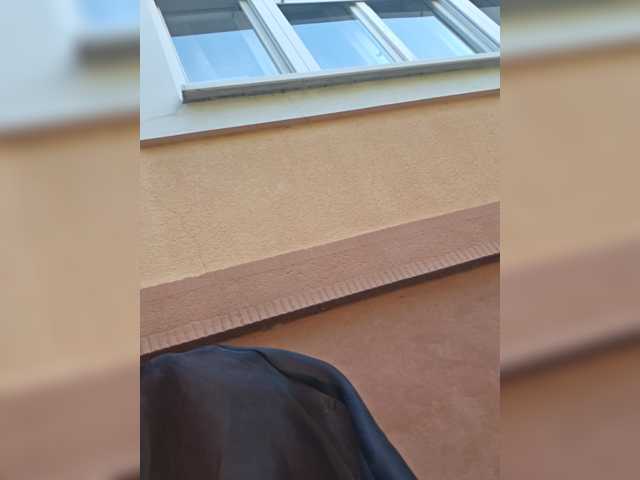 alizii