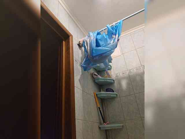 alizii webcam
