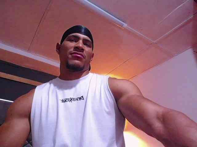 teddyfit19cm teddyfit19cm