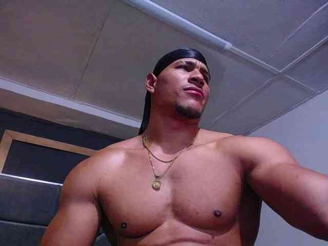 teddyfit19cm