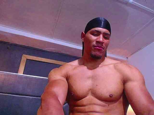 teddyfit19cm