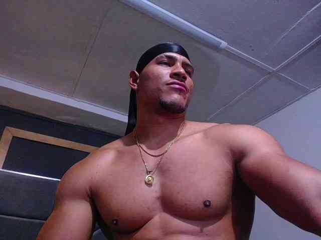 teddyfit19cm