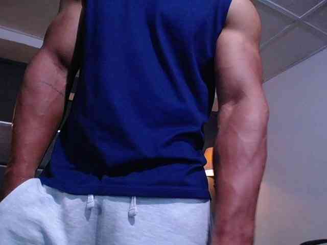 teddyfit19cm