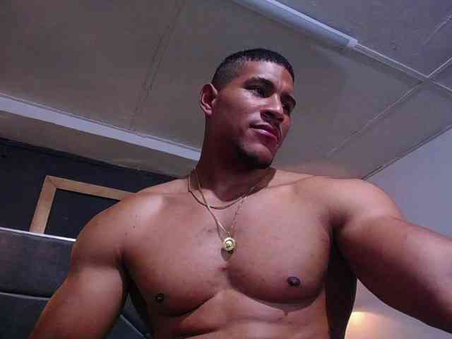 teddyfit19cm
