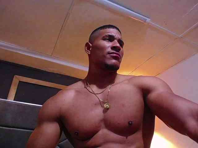teddyfit19cm