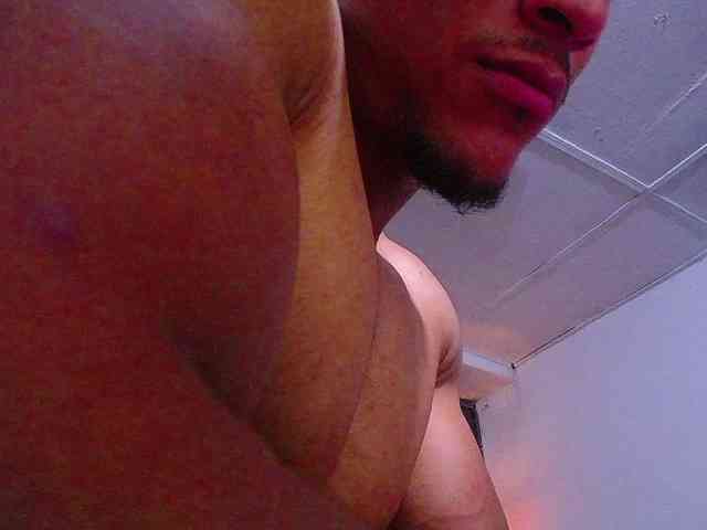 teddyfit19cm