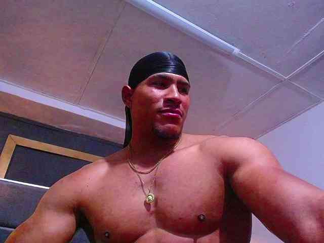 teddyfit19cm