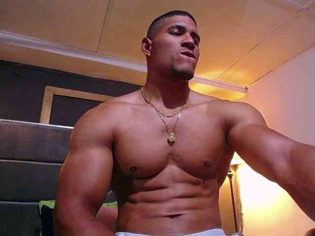 teddyfit19cm