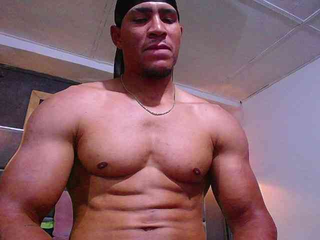 teddyfit19cm