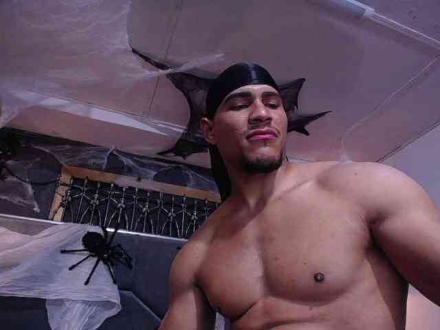 teddyfit19cm