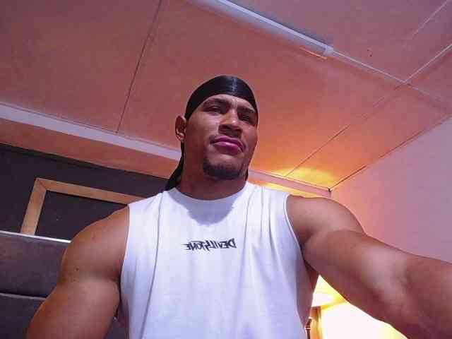 teddyfit19cm teddyfit19cm