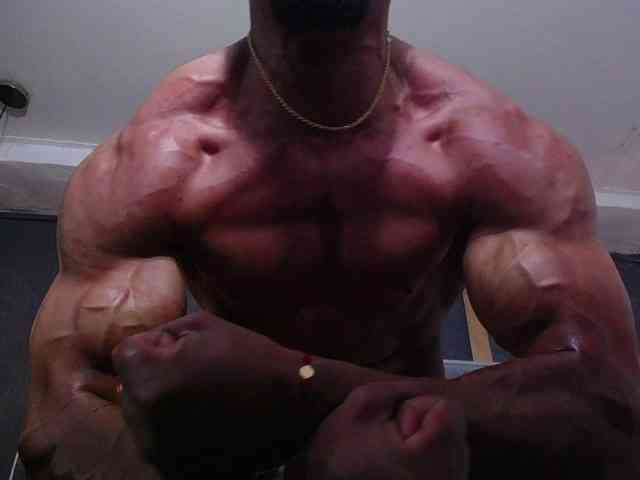 teddyfit19cm