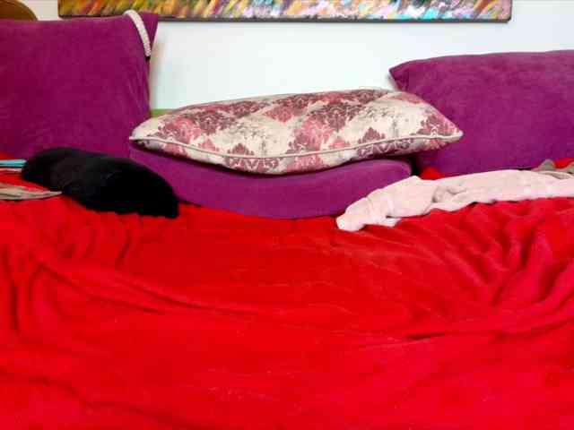 Lindalovesexy webcam