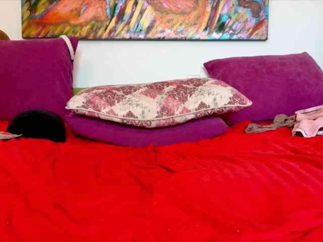 Lindalovesexy webcam