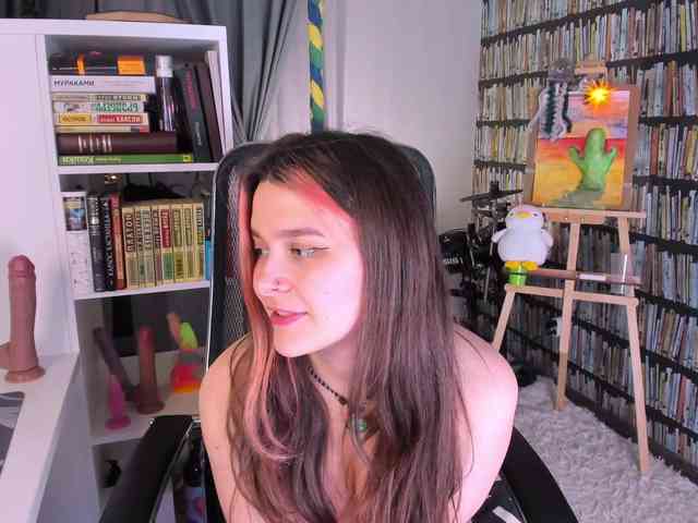 icefroq webcam